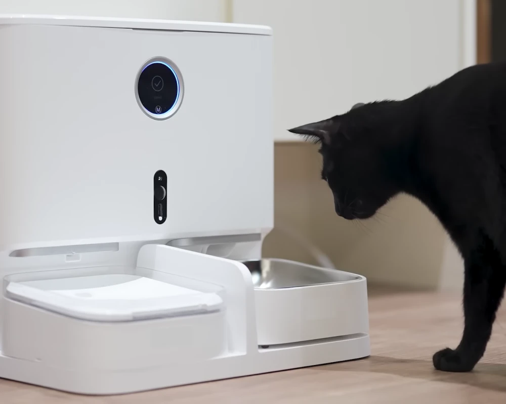 auto pet food dispenser